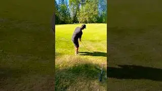 &ldquo;Crisp Chip Shot With Perfect Touch&rdquo;. #golf #golfshorts