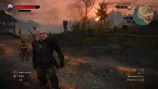 The Witcher 3: Wild Hunt - Complete Edition Death March Part 12