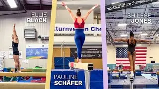 Quick Training Updates #5 ⭐ The cool (but rare) Schäfer salto! (August 2023 #3)
