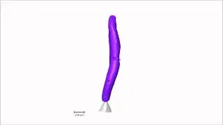 Electrical tree breakdown 3-D X-ray tomography