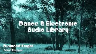 🎵 Diamond Knight - Silent Partner 🎧 No Copyright Music 🎶 Dance & Electronic Music