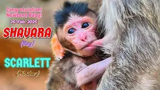 Congratulation! Newborn Baby SHAVARA Enjoys Mother&rsquo;s Warm Embrace,  @monkeyscorner ​