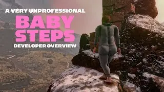 A Very Unprofessional Baby Steps Developer Overview