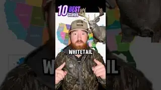 TOP 5 BEST STATES for BIG WHITETAIL!! #hunting #deerhunting #saddlehunting #bowhunting