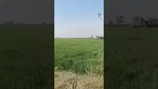 Exploring Punjab #punjabisong #punjab #india #countryside #travel #shorts #rutbasong