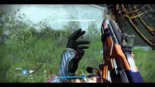 Taken King Exotics smh