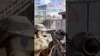 Sounds Like Swatting Flies #battlefield6 #gaming #battlefield