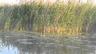 DSCN0439