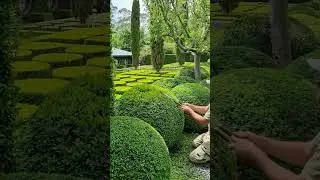 Perfect Garden Lawn Edges with Crisp Borders and Smooth Cuts 🌿 | #lawncare #trimming