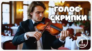 Soulful Music to Vibe & Chill To