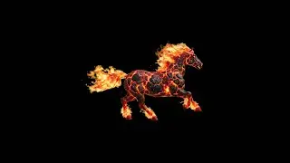 Fire Horse - Chinese Zodiac Animal 2026