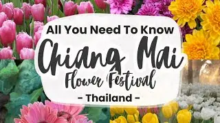 Chiang mai flower festival thailand | Chiang mai festival of lights | Flower Festival 2023 |