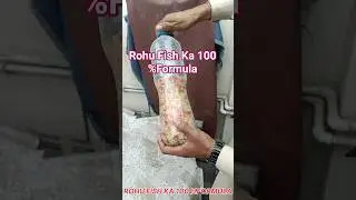 Rohu Fish Ka 100 % Formula||Rohu fish