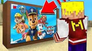 ESPÍO A LA PAW PATROL CON CÁMARAS DURANTE 24 HORAS EN MINECRAFT