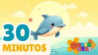 Delfín para Dormir y Jugar – Música Infantil Suave 🐬🌙