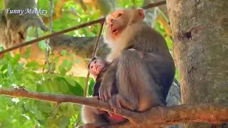So pity baby Dustin cry for help coz Bonita kidnap to high tree.
