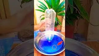 candle small  experiment#schoolexperiment