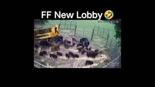 Free Fire New Ob30 Update  Lobby || Funny Short Video Darbar Gaming🤣 #short#shorts#totalgaming