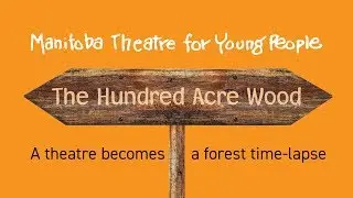The MTYP Theatre Becomes The Hundred Acre Wood Time-lapse