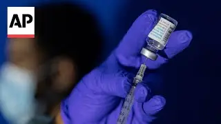 What is mpox? WHO declares outbreaks in Africa a global emergency