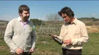 Celler Pardas