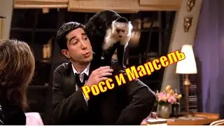 Сериал Друзья  ❌  Росс и Марсель