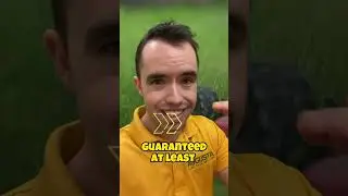 Сколько НУЖНО платить вашим работникам по уходу за газоном!💰