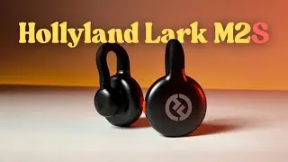 Hollyland Lark M2S - New York City Field Test | Is it the Best Wireless Mic for Creators?