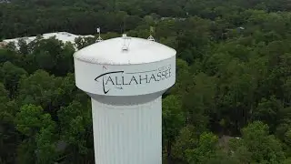 Tallahassee Chiropractor Shares The Benefit of the Atlas Orthogonal Technique
