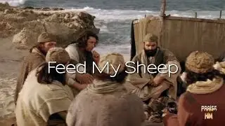 Feed My Sheep