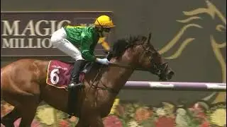 Pinjarra  RACE 1 -  14 FEB 2026