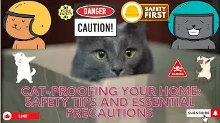Guide to Cat-Proofing Your Home: Safety Tips and Essential Precautions