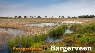 Fotograferen in Bargerveen | landschapsfotografie
