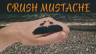 Pumpkin Jumping - Crush Mustache