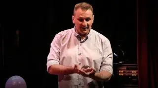 The secrets of spider venom | Michel Dugon