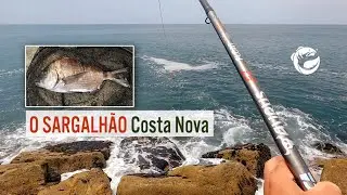 O SARGALHÃO - Costa Nova