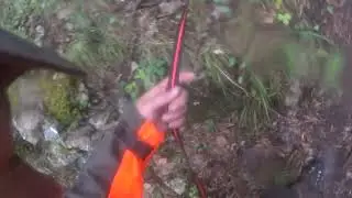 recherche 1 sanglier blessé du 16 09 23 balle abdomen zéro indice réussite.