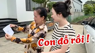 Ánh đỗ bằng lái xe cô thơm mời cả họ thịt trâu ăn mừng ! 
