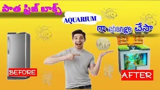 Old fridge box change into aquarium🤩 part-2 #trending  #fishtankideas