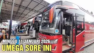 🎥LIVE UMEGA SORE INI‼️ MINGGU 11 JANUARI 2026
