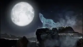 The Lone Wolf RETURNS!! MK11