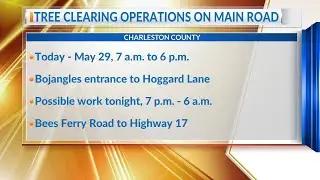 Tree clearing operations could impact Main Road traffic