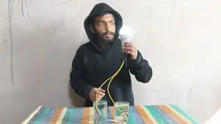 Can Salt Water light a Bulb? 😳