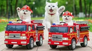 Mama Cat Rescues Kittens Stuck in a Tree 🌳 and Drive Toy Fire Truck 🚒 Heartwarming Story ❤️🐱🐾