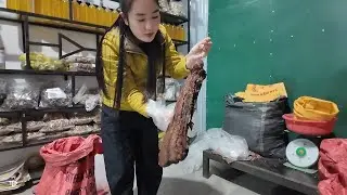 Vợ Cháu Hiệp Lần Đầu tiết lộ Cách mà Khán giả dưới xuôi có thể thưởng thức Thịt Lợn Đen