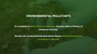 Dioxins and Environmental Testing