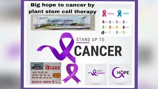 Big hope to Cancer by phytolife Essence Care ( plant derived stem cell therapy) PART 2