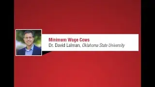 Dr. David Lalman, Oklahoma State University, Beef Efficiency Conference 2022
