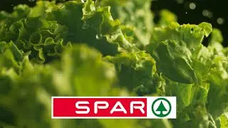 🥬 SPAR & Ott Gem&uuml;se: Gr&uuml;ne Revolution in der Salatproduktion! 🚀🌱