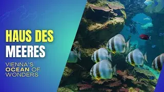 Haus des Meeres – Vienna’s Ocean of Wonders